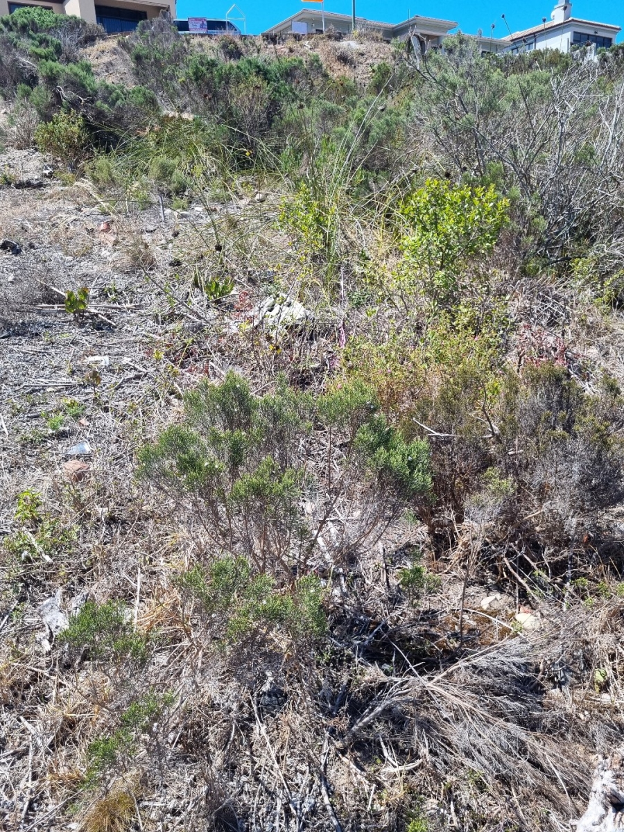 Commercial Property for Sale in Island View Western Cape